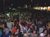 Crowd 4