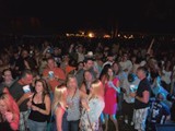 Crowd 6