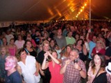 Crowd 12