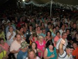 Crowd 7