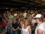 Crowd 3