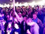 Crowd 5