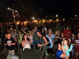 Crowd 3