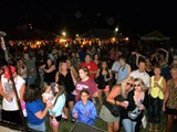 Crowd 4