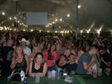 Crowd 12