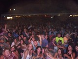 Crowd 4