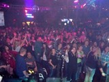Crowd 6