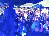 Crowd 5