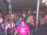 Crowd 16