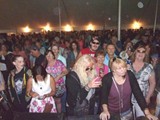 Crowd 19