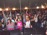 Crowd 5