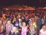 Crowd 4