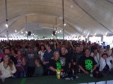 Crowd 12