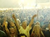 Crowd 3