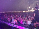 Crowd 7
