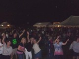 Crowd 6