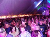 Crowd 6