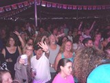 Crowd 6
