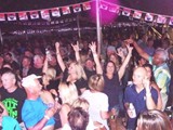 Crowd 8